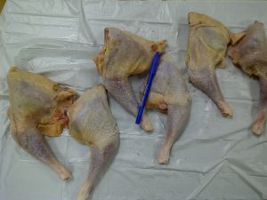 Canadian Origin Hen (Light) Leg Quarters 10kg