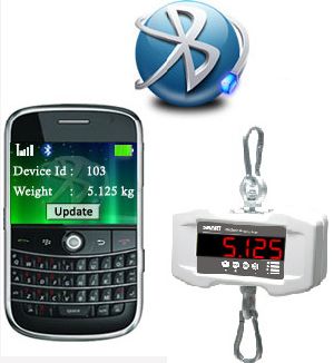 Bluetooth Hanging Scale