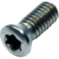 Torx Screw