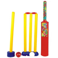 Senior Cricket Set