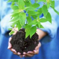 Plant Nutree (Bio Enzymes)