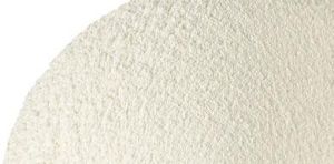 Hard Whole Wheat Flour