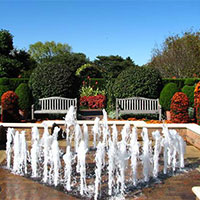 Fountains & Fountain Accessories