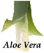 Aloevera Products