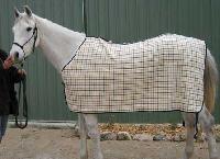 Stable Rug