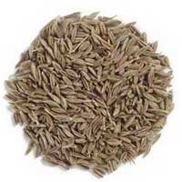 cumin seeds