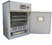 poultry chicken incubator