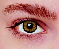 Brown Contact Lens