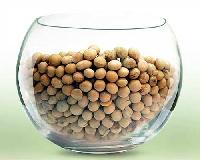 soybean seeds