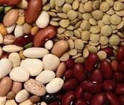 Dried Beans
