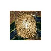 Vetiver Raw Root