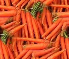 fresh carrot
