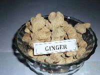 dry ginger