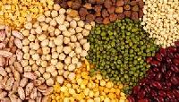 indian pulses