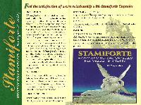 Stamiforte Capsules for Vigour and Vitality