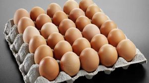 Poultry Eggs