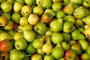 Fresh Pears