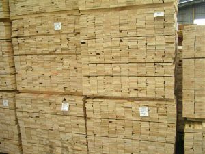Pine Timber Cutoffs