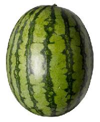 fresh watermelon