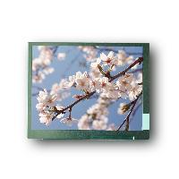 4 Inch PVI (Eink) TFT LCD Display