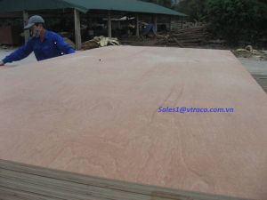 commercial plywood
