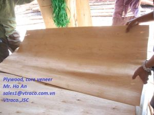 High Quality Core Veneer