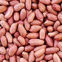 groundnuts