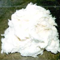 raw cotton