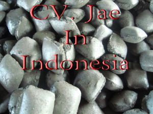 EcoShell Briquette EcoShell Briquette