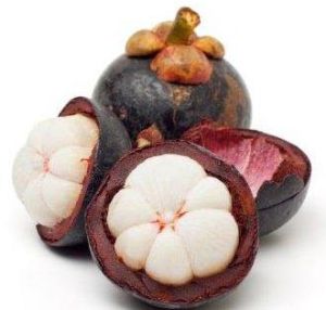 Garcinia Cambogia  Extract