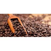 Natural Caffeine Extract