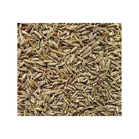 Cumin Seed (natural)