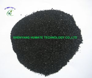 Seaweed Extract