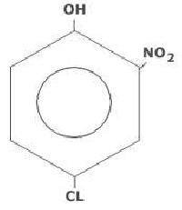 4-Chloro 2-Nitro Phenol