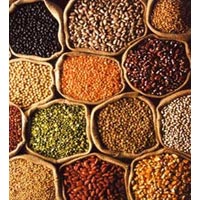 Shri Manikeshwari Pulses - Pulse Processing Plant Manufacturer & Exporters