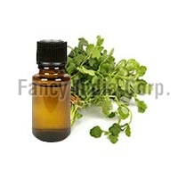 Coriander Oil