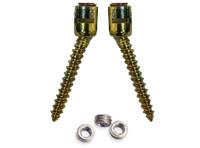 Poly Axial Screw