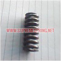 Auto Spring