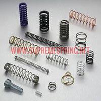 Valve Spring