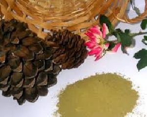Natural Henna Powder Manufacturer from India