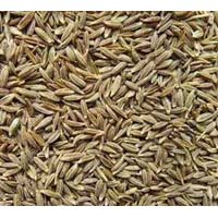 cumin seeds