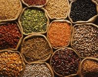 indian pulses