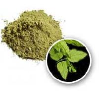 Henna Powder, Henna Leaves