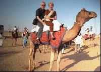 Camel Safaris