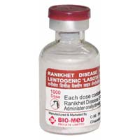 ranikhet disease lentogenic lasota strain vaccine