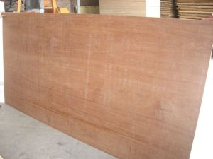 Commercial Plywood From Vietnam