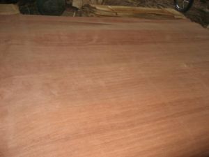 Plywood Best Quality - Most Competitive Price