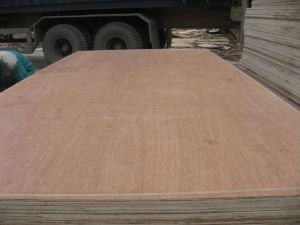 Wpb Plywood For Outdoor Using - Reasonable Price
