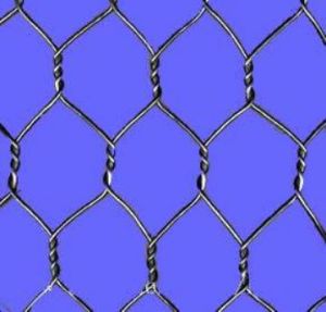 Stainless Steel Wire Mesh