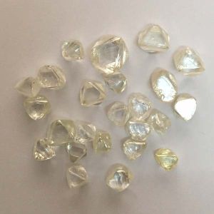 Rough Diamonds, Brand Name : Gold Bars, Gender : Man